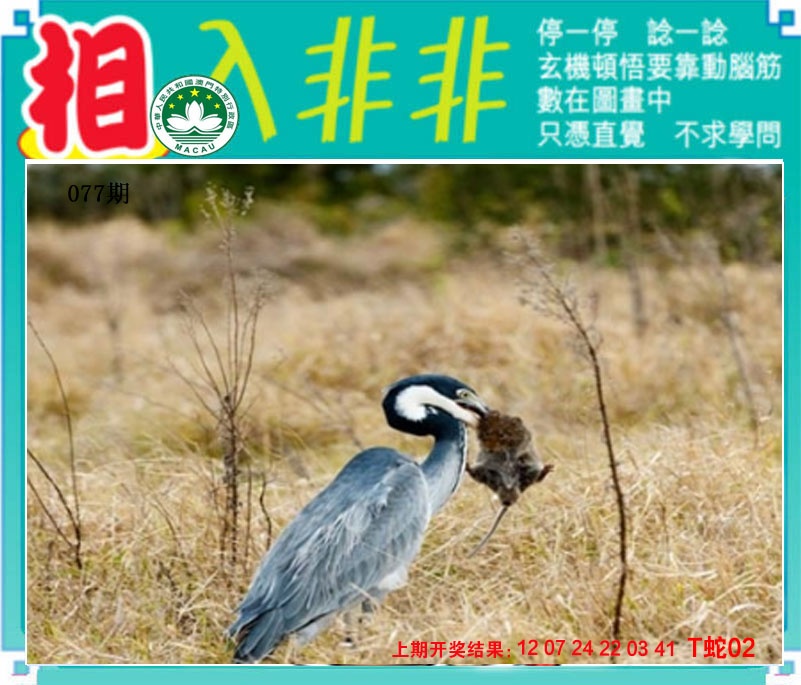 077期相入非非[图]